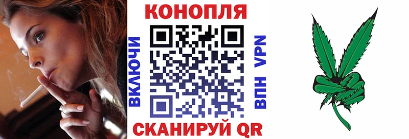 Где можно купить наркотики Алейск Гашиш Каннабис АМФЕТАМИН Меф мяу мяу Cocaine СОЛЬ