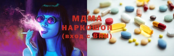 прущие грибы Аркадак